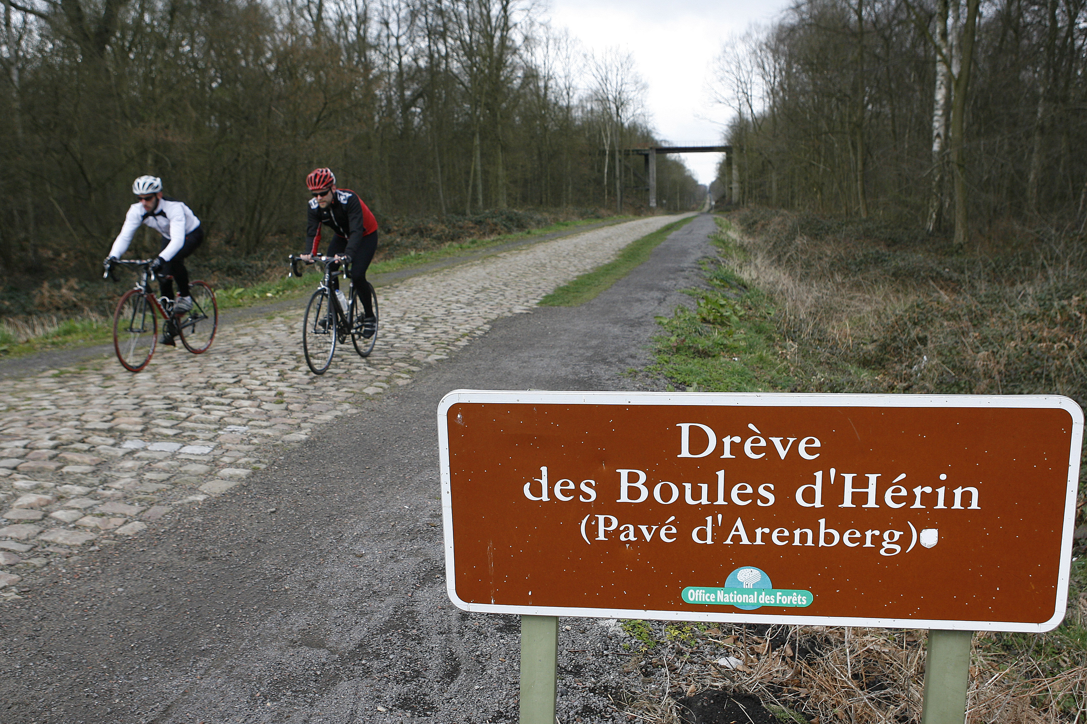 roubaix sportive roubaix sportive