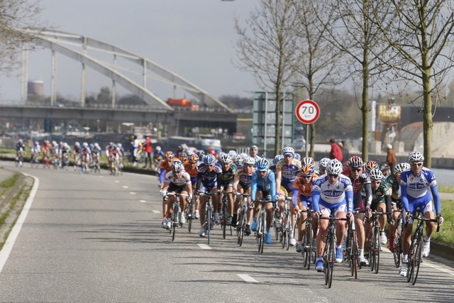 Scheldeprijs 2008 Scheldeprijs 2008