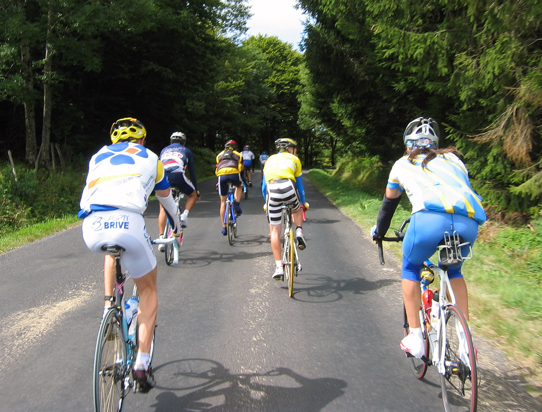 Sportive Sportive