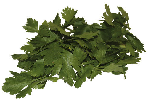 parsley wonder food parsley wonder food