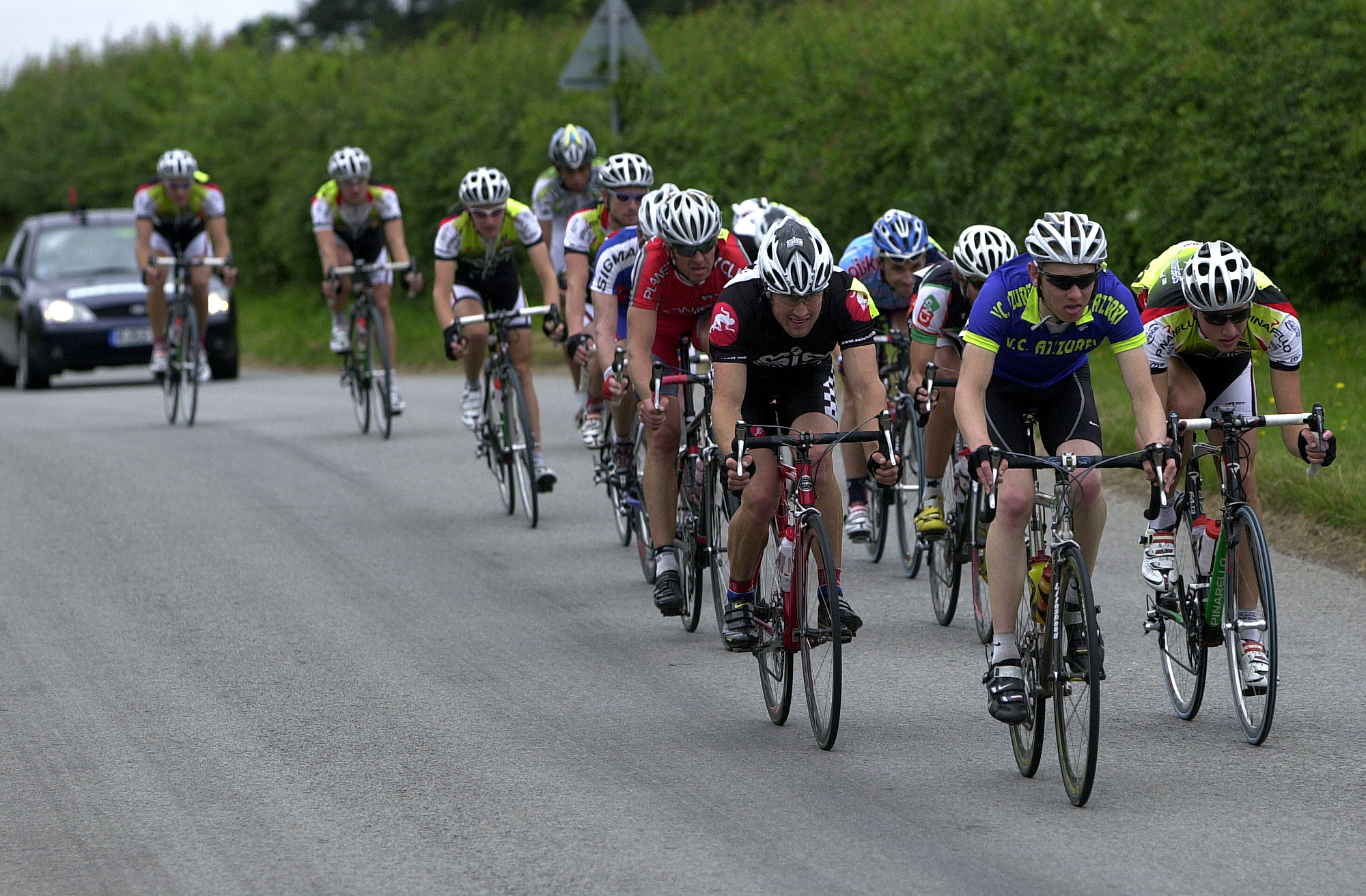 Ryedale 12