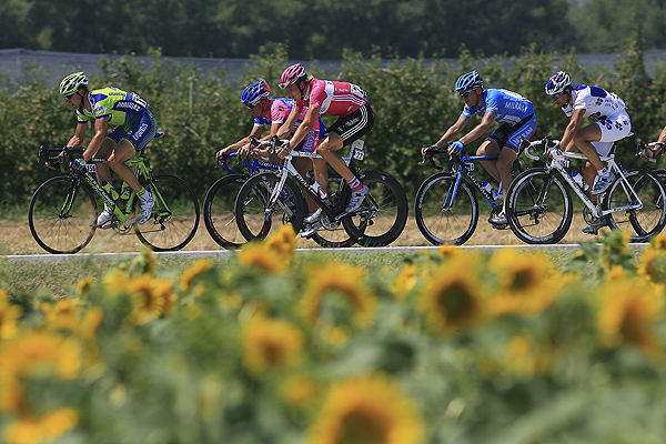 Stage 10 action