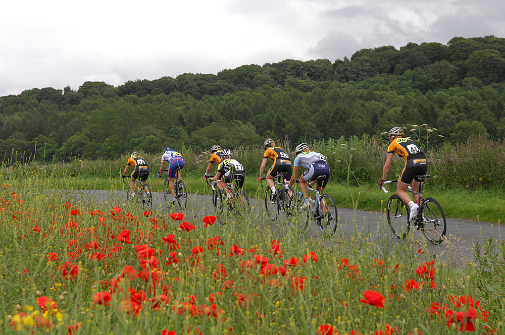 Riders pass a poppy field Riders pass a poppy field
