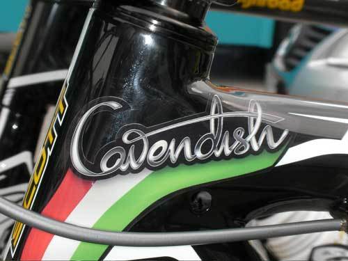 Mark Cavendish head tube Giro 2009 Mark Cavendish head tube Giro 2009