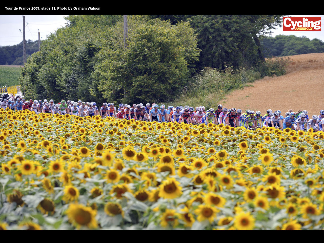 Tour de France 2009 wallpaper