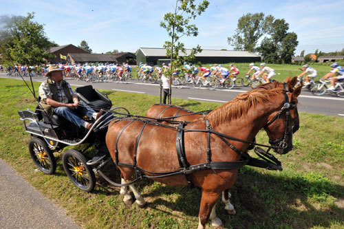 Horse, Vuelta a Espana 2009, stage three