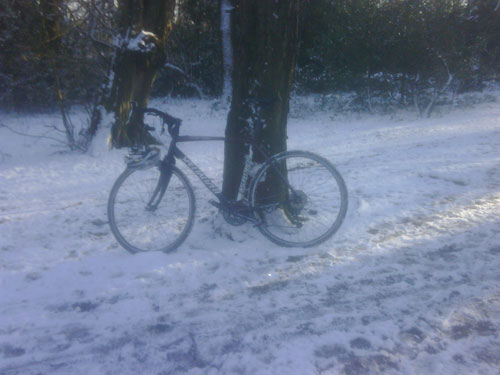 Sean Lally, 2010 snowy cycling photos