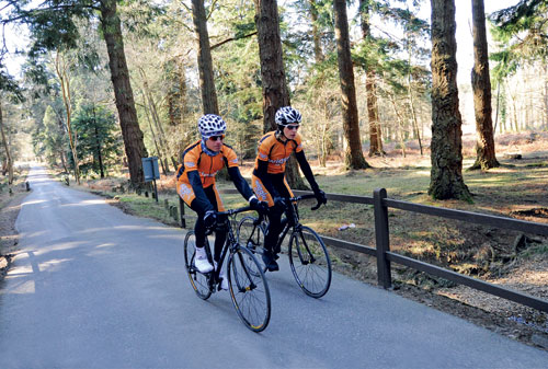 New Forest with Wiggle New Forest with Wiggle
