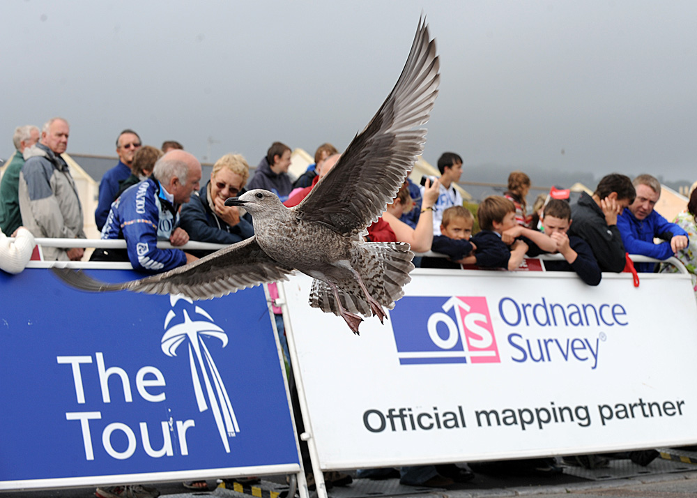 One of the locals, Tour of Britain 2010, stage 4