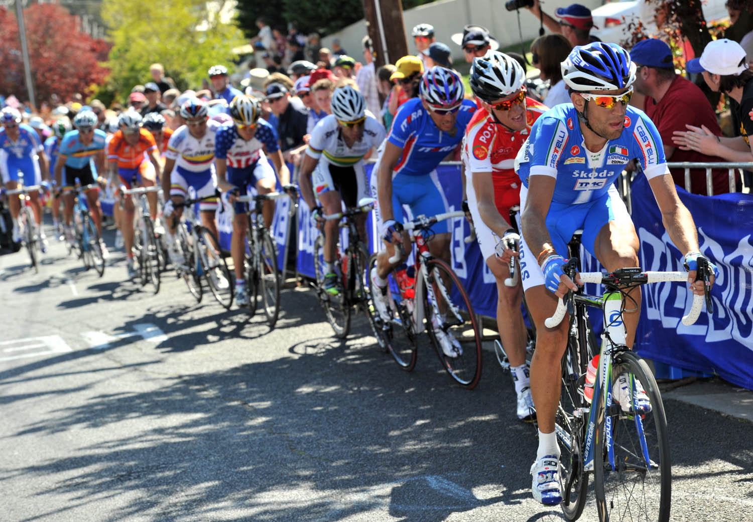 Vincenzo Nibali, World Champiolnships 2010, men's road race