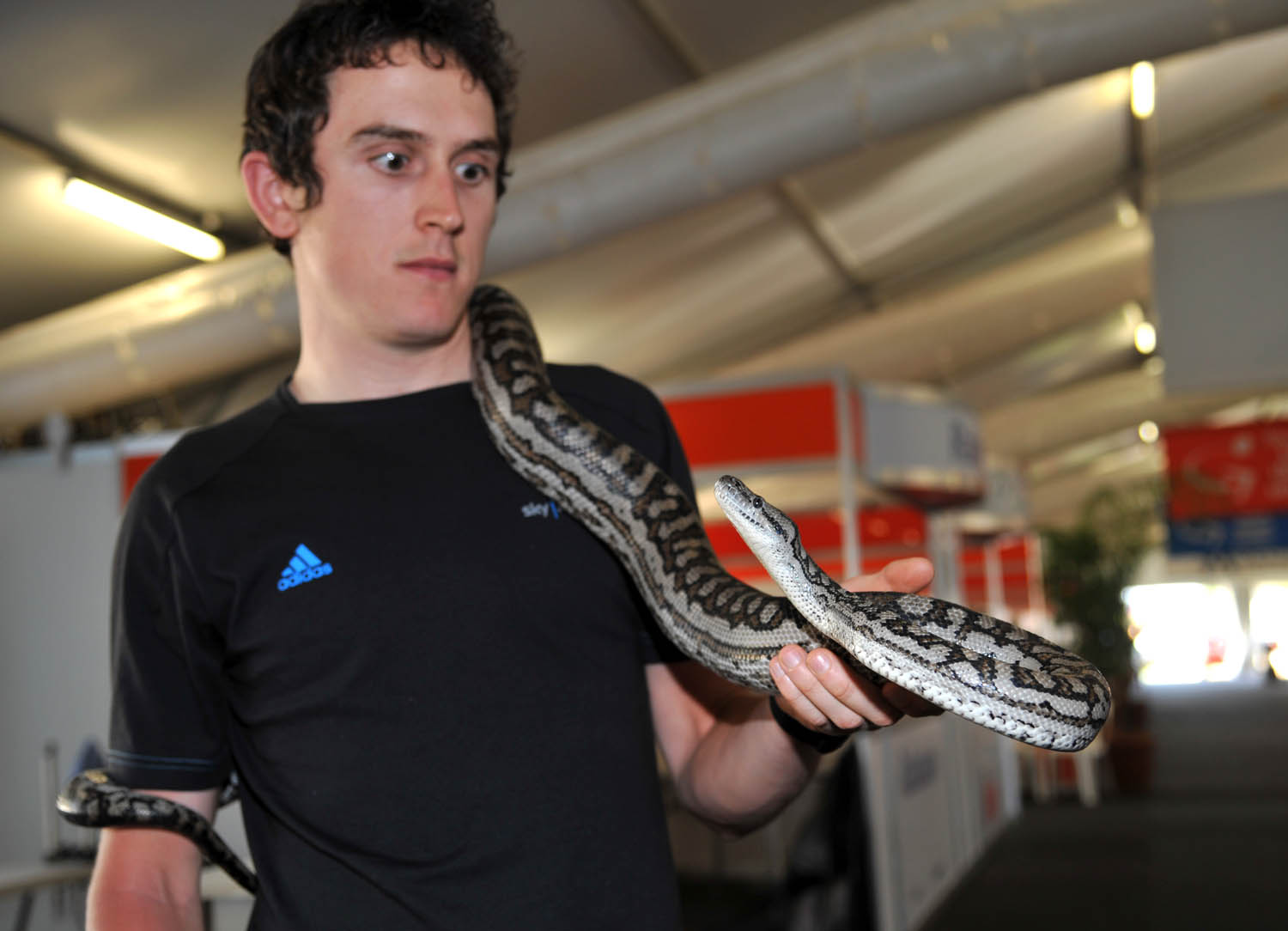 Geraint Thomas and snake, Tour Down Under 2011 Geraint Thomas and snake, Tour Down Under 2011