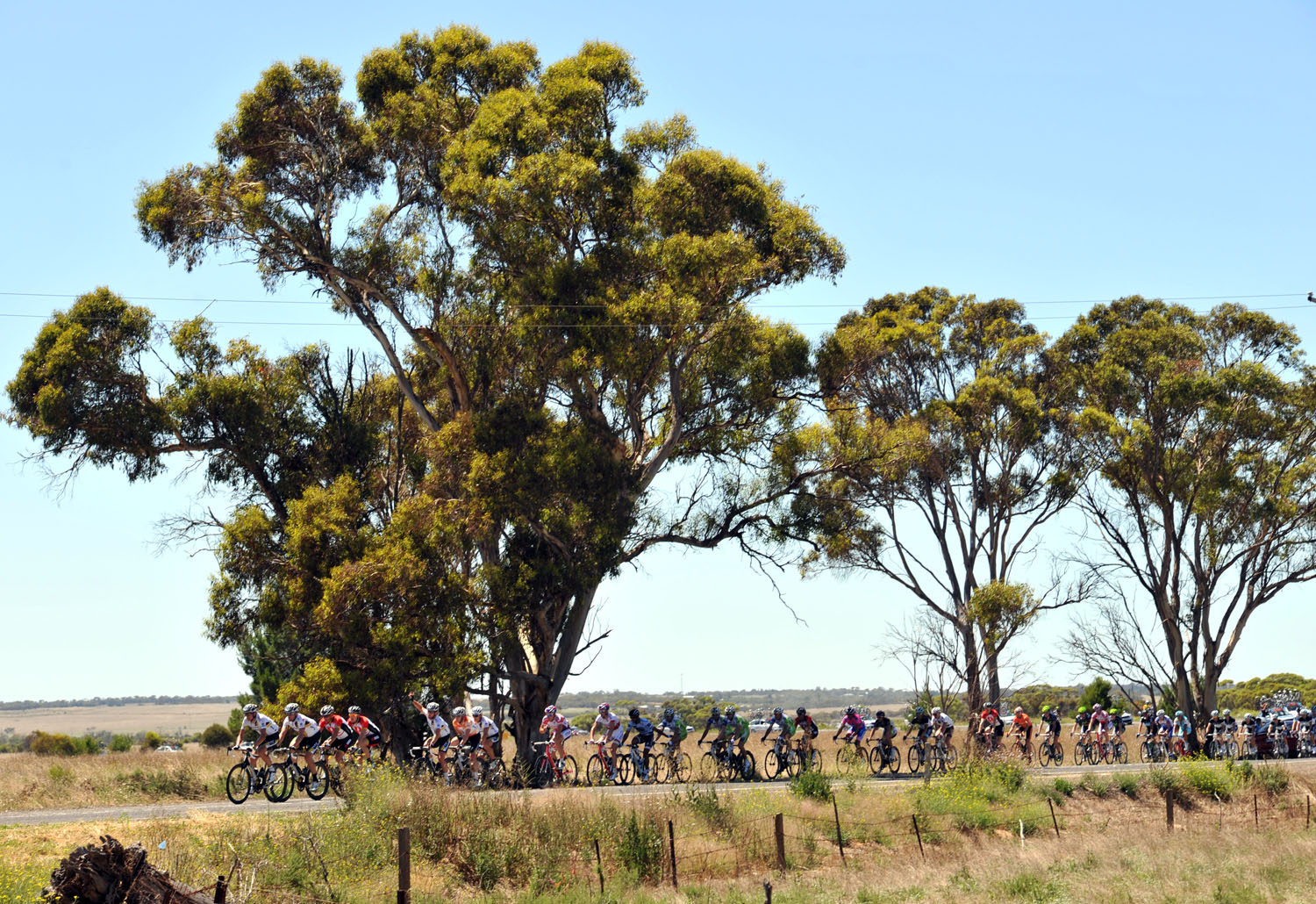 Peloton, Tour Down Under 2011, stage two