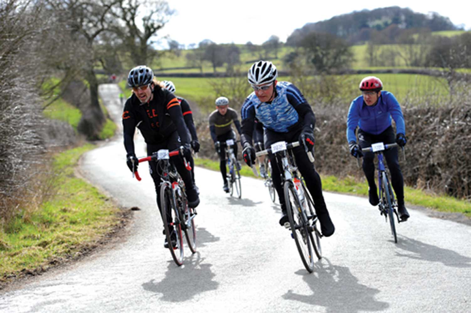 Cyclo-sportive: Verenti Cheshire Cat