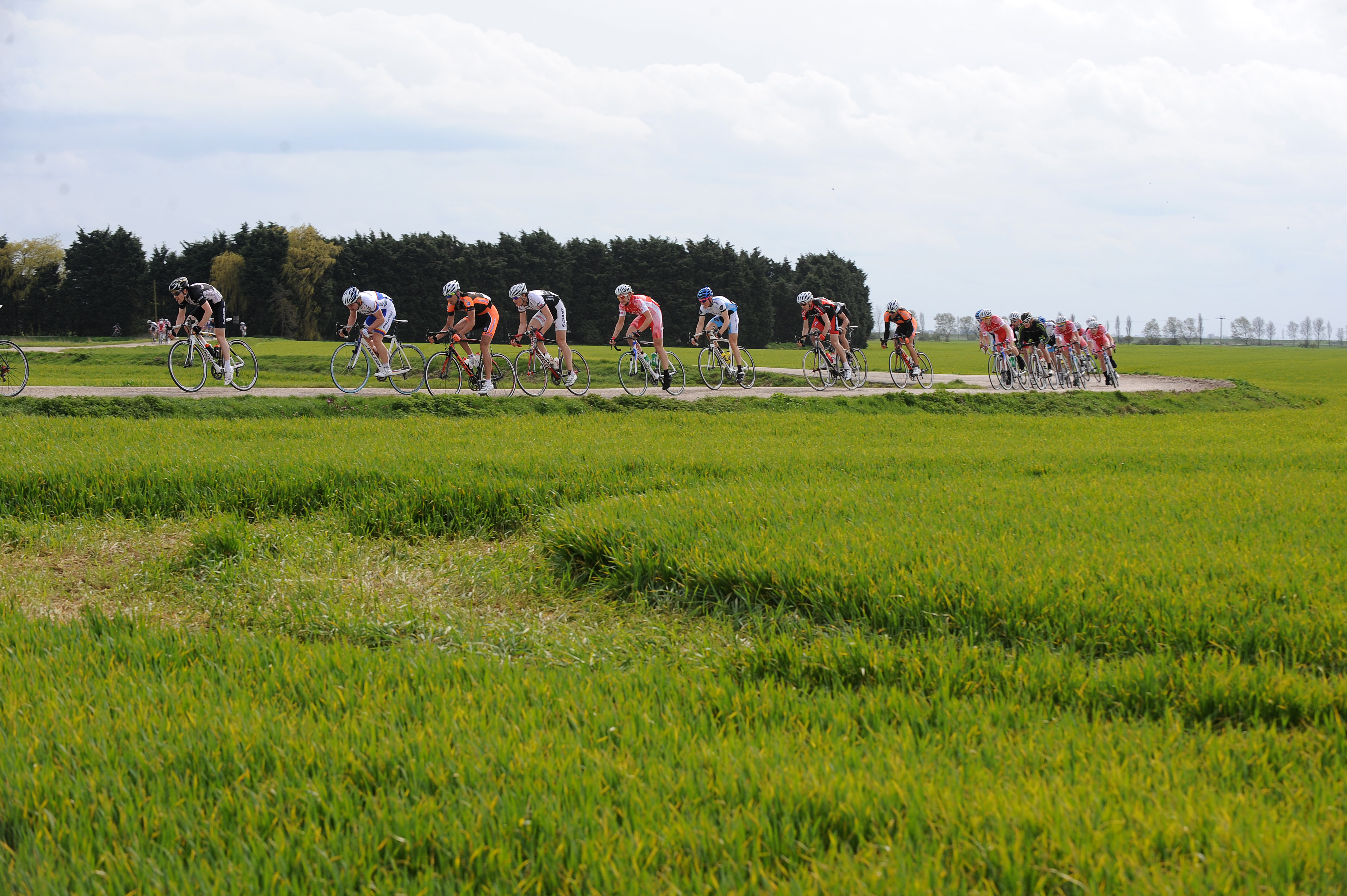 dengie marshes tour, dempster, briggs, backstedt