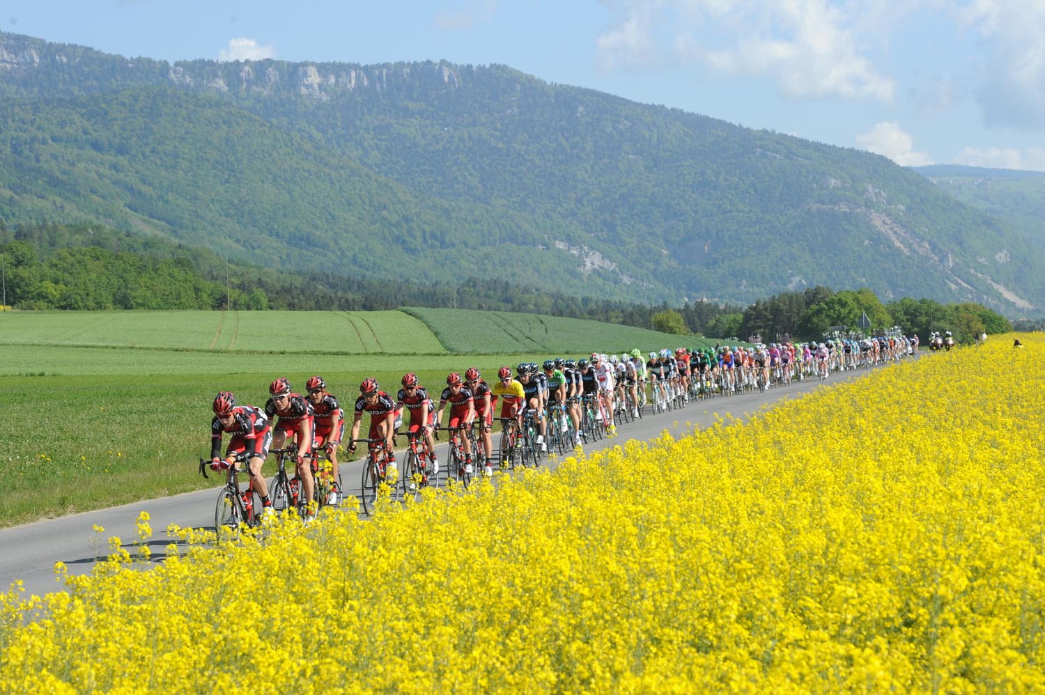 BMC lead the way, Tour de Romandie 2011, stage five BMC lead the way, Tour de Romandie 2011, stage five