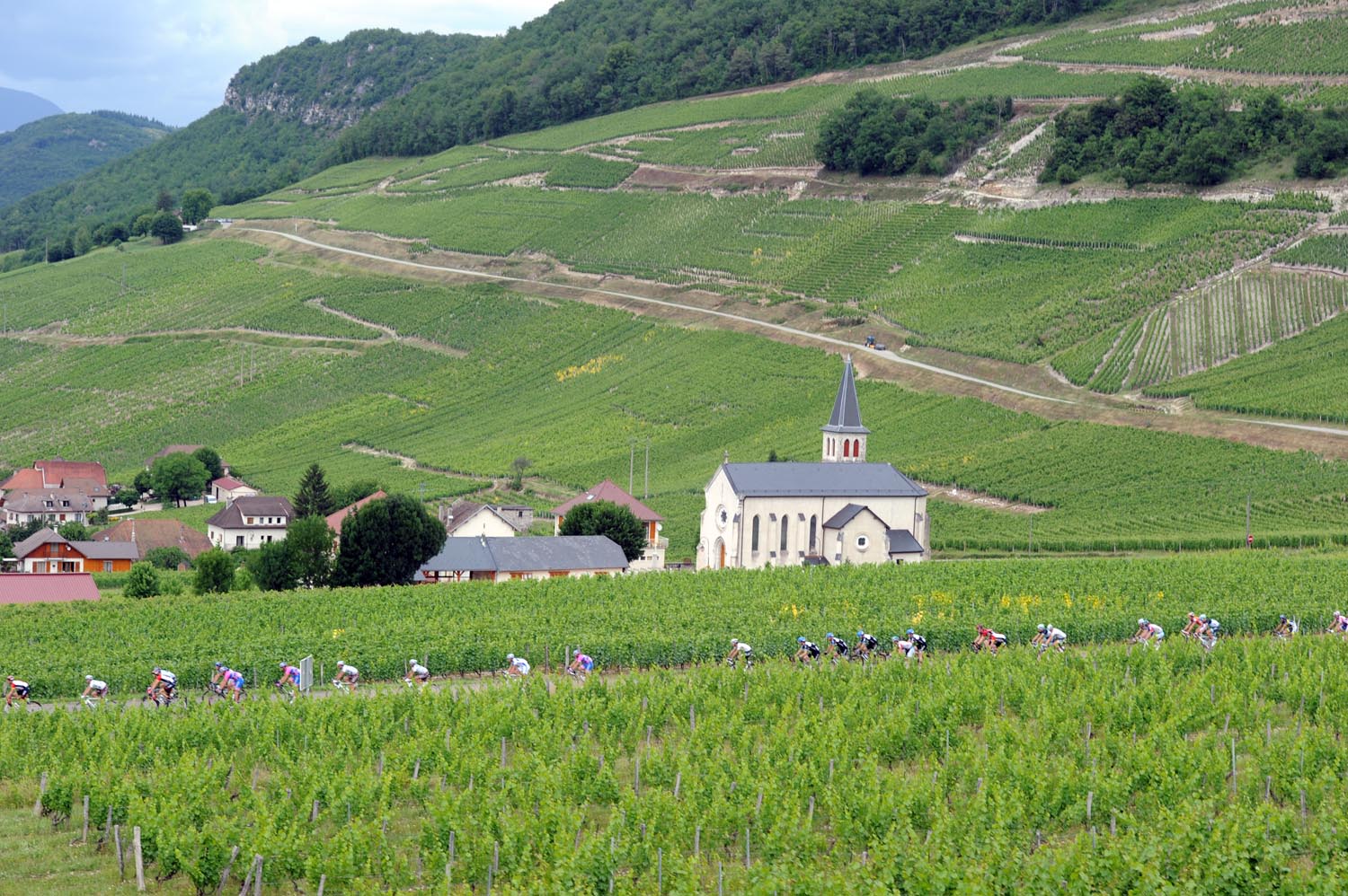 Vineyards, Criterium du Dauphine 2011, stage four