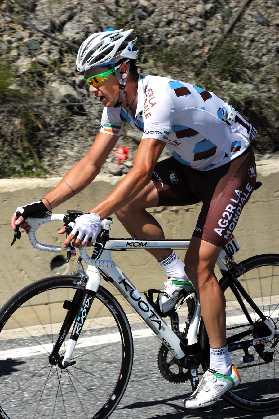 Nicolas Roche, Tour de France 2011, stage 17