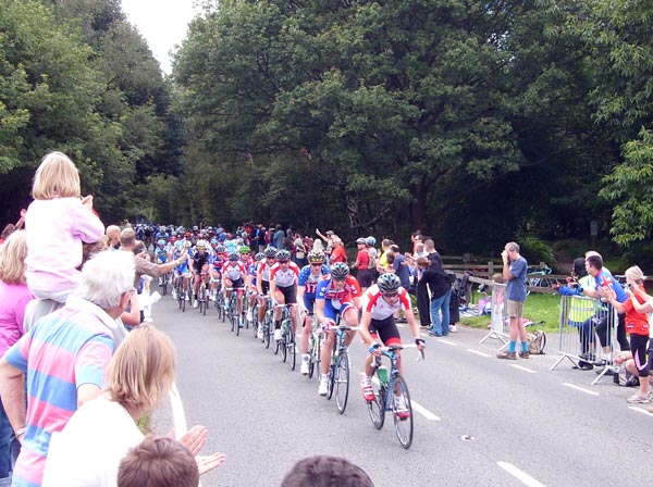 Bunch in Headley on first lap of Box Hill, London-Surrey Cycle Classic 2011 Bunch in Headley on first lap of Box Hill, London-Surrey Cycle Classic 2011