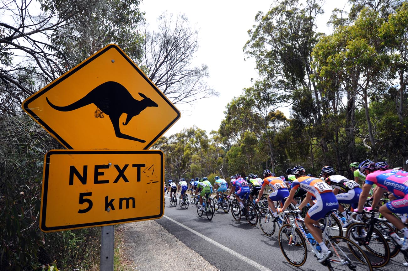Kangaroo sign, Tour Down Under 2012, stage four