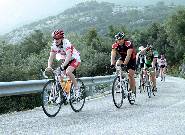 Majorca 312 Sportive