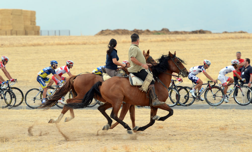 Horses, Vuelta a Espana 2012, stage 19