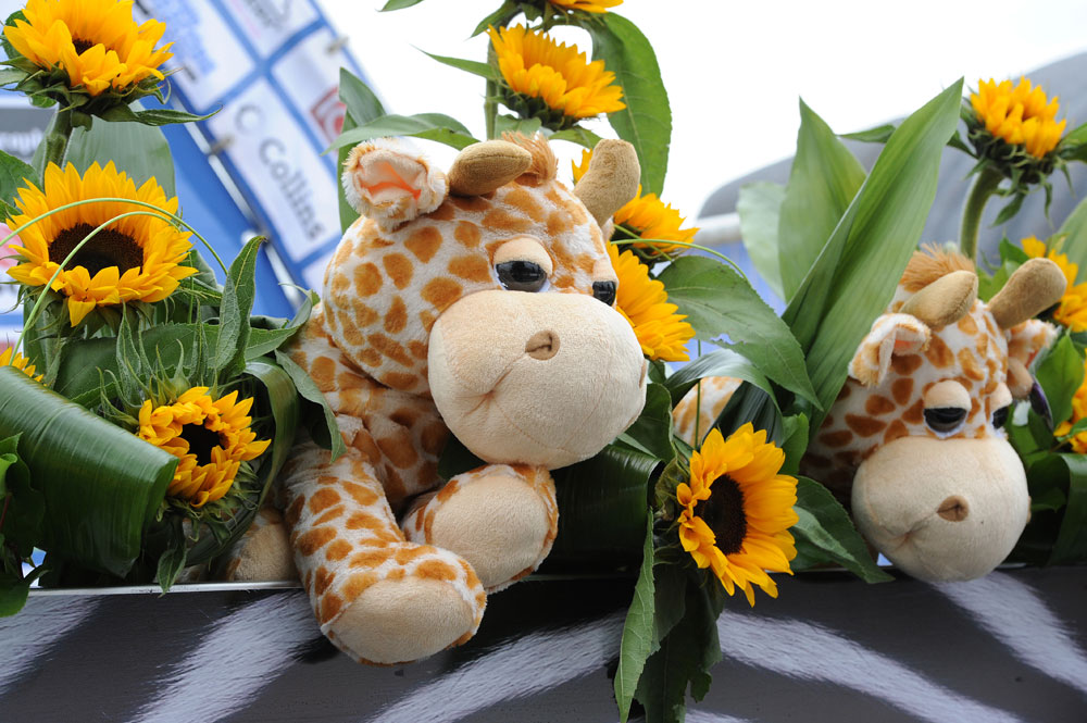 Giraffes, Tour of Britain 2012, stage two