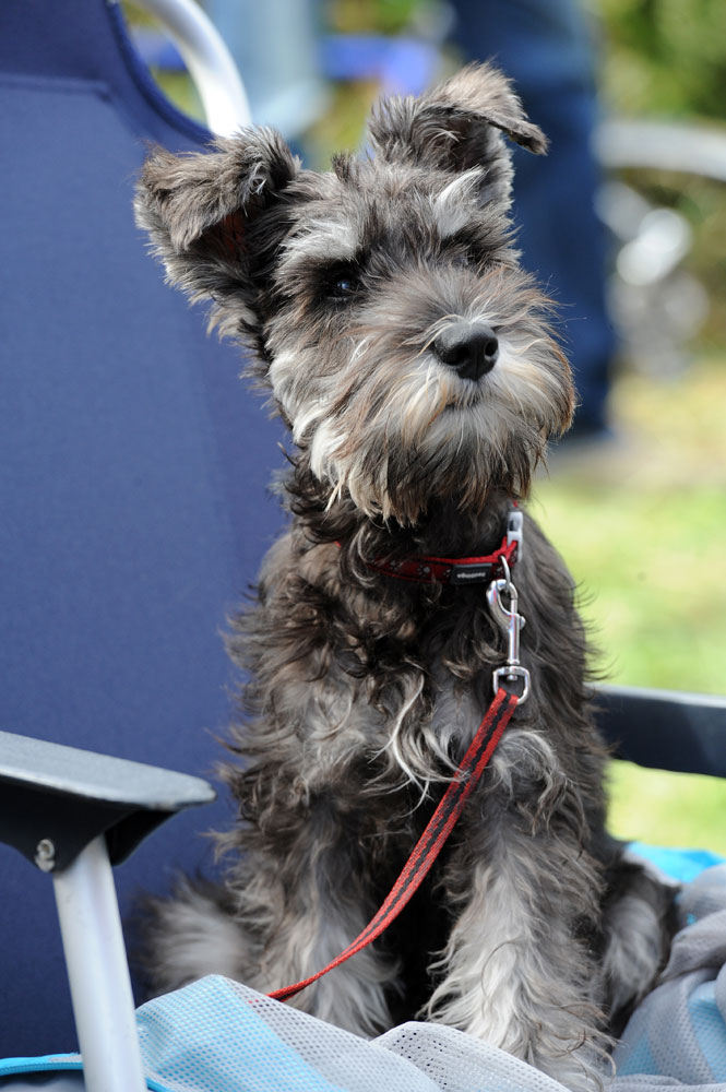 Woody, Tour of Britain 2012, stage six