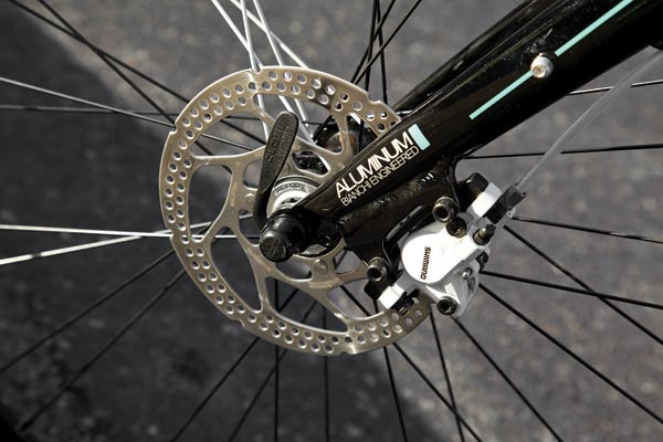Bianchi-Camaleonte-3
