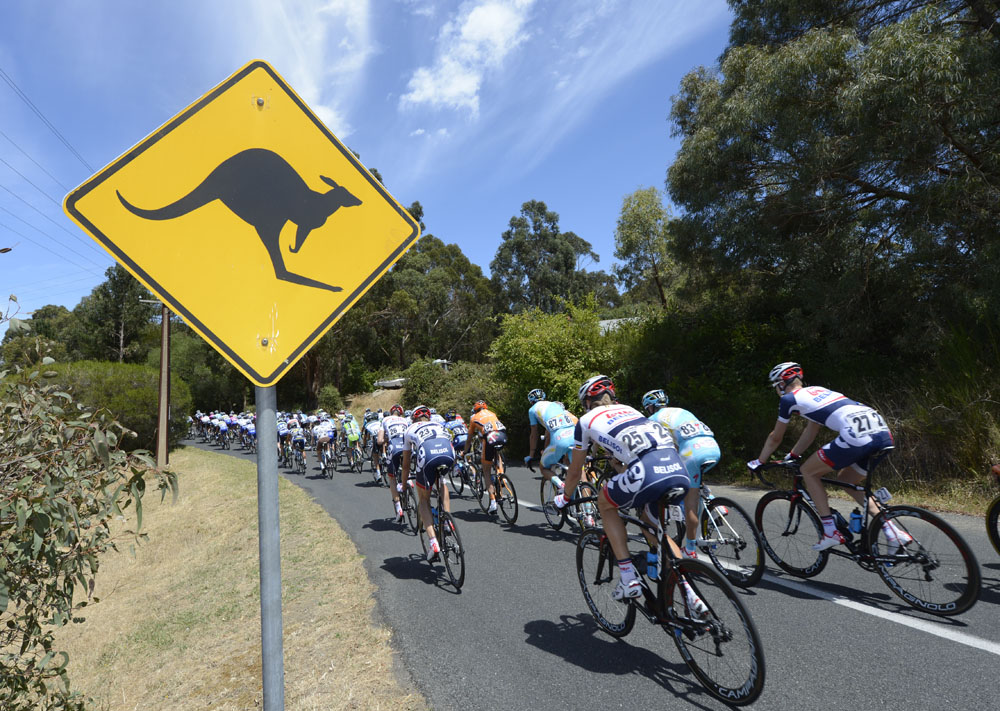 Kangaroo, Tour Down Under 2013, stage three