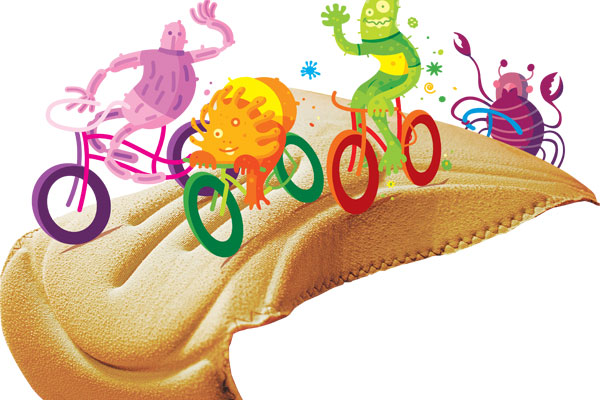 Germs Chamois Germs Chamois