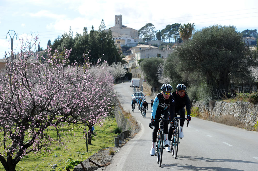 Caimari blossom, Madison-Genesis training in Majorca, 2013 Caimari blossom, Madison-Genesis training in Majorca, 2013