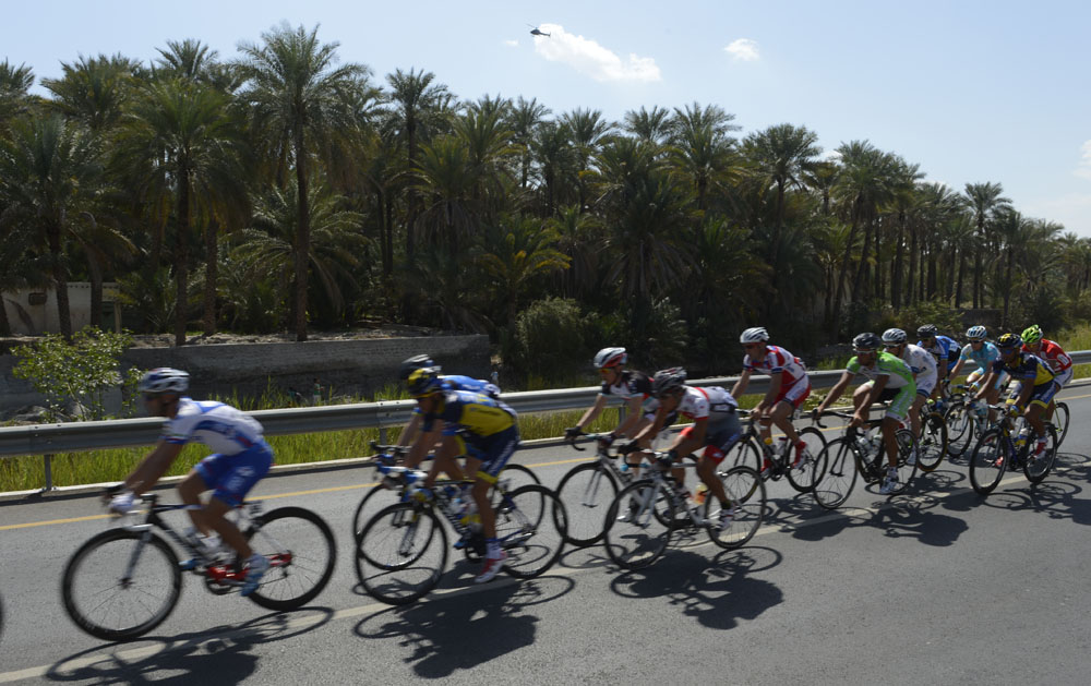 Palm trees, Tour of Oman 2013, stage four