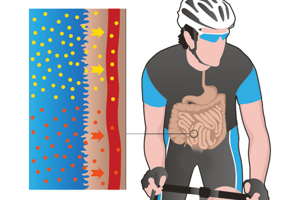 2:1 Fructose, sports drinks 2:1 Fructose, sports drinks