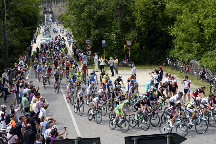 Peloton, Giro d'Italia 2013, stage 17 Peloton, Giro d'Italia 2013, stage 17