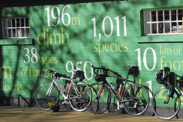 Sportive, Box Hill, Riding, Group Sportive, Box Hill, Riding, Group